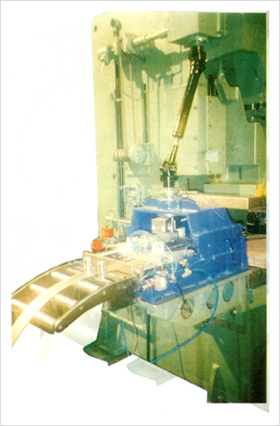 Mechanical Gripper Feeder